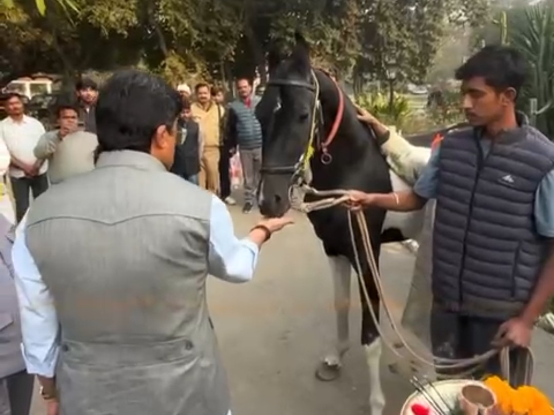 राजा भैया को मिला ‘विजयराज’ घोड़ा, कुंडा में हुआ भव्य और राजसी स्वागत